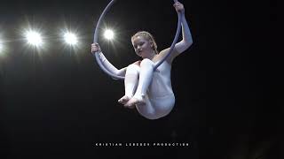 Артфестиваль по воздушной гимнастике в Сочипарке  Aerial gymnastics Show pole sport kids [upl. by Eimarrej396]