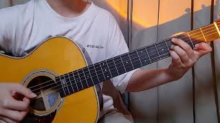 Mountains of llinois Chet Atkins and Pat Bergeson  Emil Ernebro cover [upl. by Dlareme]