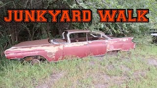 JUNKYARD WALK AMOMG 3000 CLASSICS junkcarwilly [upl. by Ilera]