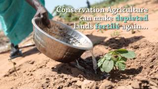 Yaajeende Conservation Agriculture [upl. by Ardnahsal]