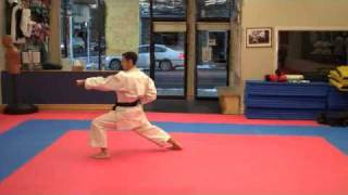 Warren Levi Karate  Taikyoku Shodan  Slow Speed [upl. by Anirhtak]