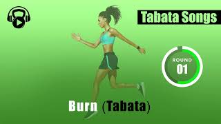 Tabata Songs  quotBurn Tabataquot w Tabata Timer [upl. by Philipp]