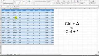 Raccourci pour Insérer des lignes dans Excel [upl. by Crawford]