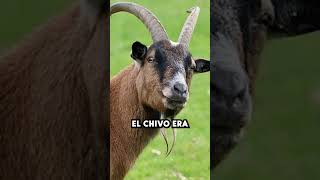 El Chivo Expiatorio [upl. by Geesey]