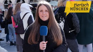 Tierisch München am 04032024  Demonstration gegen Wildtiere im Zirkus [upl. by Esilehs100]