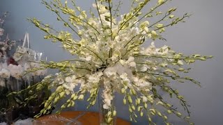 How to Create A Dendrobium Orchid Tree Arrangement [upl. by Ottinger]