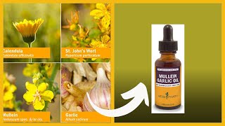 Garlic Mullein Oil and Its Uses [upl. by Jeri]