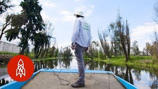 Fighting to Keep Mexico’s Floating Farms Alive [upl. by Ennaeed]