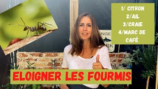 ELOIGNER LES FOURMIS NATURELLEMENT [upl. by Hen]