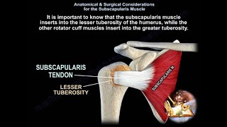 SUBSCAPULARIS MUSCLE  Everything You Need To Know  Dr Nabil Ebraheim [upl. by Kaslik447]