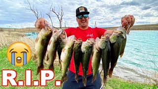 Removing HARMFUL Unwanted Bass from a Pond Catch Clean Cook [upl. by Ardaid]