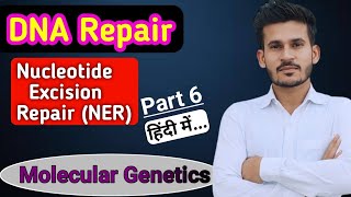 Nucleotide Excision Repair  DNA Repair  Part 6  MSc CSIR NET GATE [upl. by Oterol]