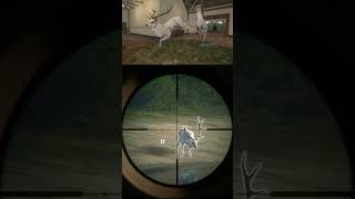 theHunter Call of the Wild Albino de Ciervo Común deer games thehuntercotw thehunter [upl. by Llerrej]