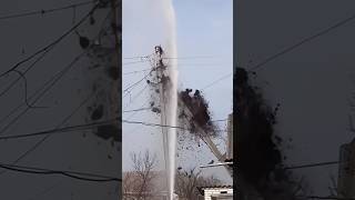 Birds Nest Destroyed By Fire Fighters TrendingShorts TrendingVideos ViralVideos [upl. by Bigot702]