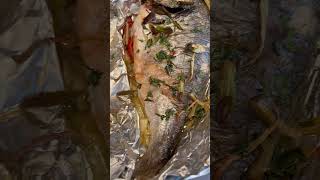 Baked Dorado Fish with tomatoesgingerscallions and cilantro salt and pepper to taste [upl. by Clower]