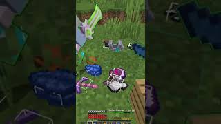 Hoplite win minecraft hoplite pvp [upl. by Ullman]