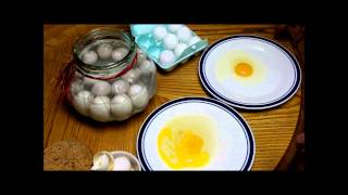 Preserving Eggs in Sodium Silicate Water Glass 10 Months Later [upl. by Phillipe]