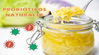 PROBÍOTICOS NATURALES para tu salud COL FERMENTADA casera [upl. by Ashton104]