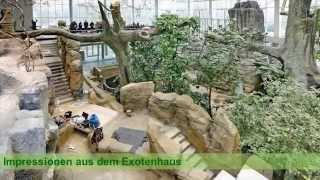 Impressionen Exotenhaus Zoologischer Stadtgarten März 2015 [upl. by Clancy991]