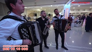 Orkestar Zorana Zarića  Svadbena torta u Požarevcu 💖 LIVE [upl. by Lawry]