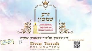 Zera Shimshon Wednesday Parshat Ki Teitzei By Rabbi Reuven Langner [upl. by Cunningham105]