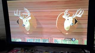 CABELAS THE HUNT CHAMPIONSHIP EDITION NINTENDO SWITCH GAMEPLAY TMANS KING OF BUCKS DISPLAY [upl. by Lusa]