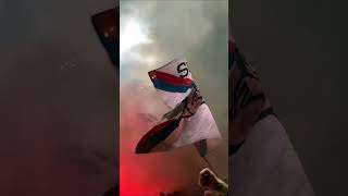 Pyro by Peluza Nord FCSB shorts youtubeshorts reels fcsb nord ultras ultra superliga [upl. by Octavius]