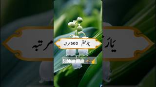 Ya Rahim 500 martaba 🕋☝️ islamicscripture islaminurdu bayan [upl. by Curtice]