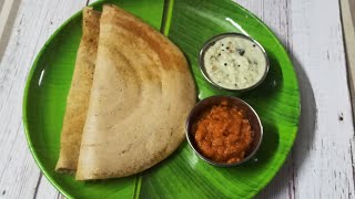 Foxtail Millet Dosa ll Thinai Dosa ll Healthy breakfast recipe ll Diabetic foods ll Ep137 [upl. by Garrick]