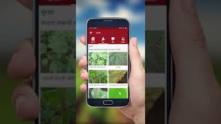 AgroStar Agri Doctor App Gyaan  Crop Info Hindi [upl. by Eeryn]