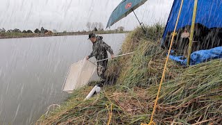 Whitebait VLOG 8  Catching Shoals in The Rain  Best Day Ever [upl. by Kosel635]