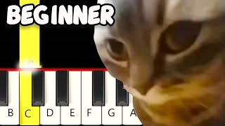 Chipi Chipi Chapa Chapa Dubi Dubi Daba Daba Meme  Fast and Slow Easy Piano Tutorial  Beginner [upl. by Airual104]