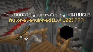 This pet BOOSTS rates by a TON  Hypixel Skyblock [upl. by Anaeel]