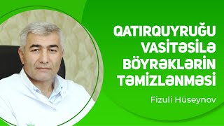 Qatırquyruğu ilə böyrəklərin təmizlənməsi  Fizuli Hüseynov [upl. by Eul]