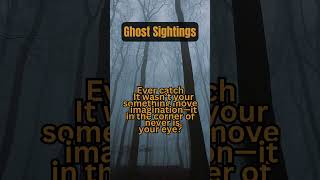 💀Scary facts  😱horror facts  ghost sightings [upl. by Rosabel]