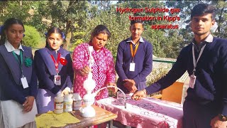 How to prepare H2S  Hydrogen sulphide gas using kipps apparatusClass 12 GIC Bhooligaon [upl. by Neelia]