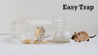 Easy Mouse TrapRat Trap  Mole Trap [upl. by Shaper]