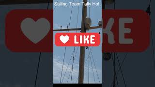 Team Tally Ho in Goes In Style sailingcommunity sailingchannel [upl. by Deryl38]