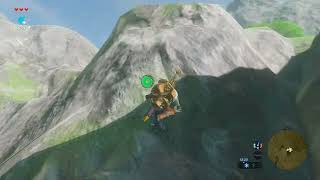 The Legend of Zelda Breath of the Wild  100 Run  Day 104 [upl. by Alleris]