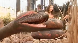 Anaconda 1997 Movie Behind The Scenes  Making of  Real Shooting Location  Jennifer Lopez [upl. by Acilejna]