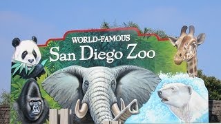 San Diego Zoo [upl. by Liz168]