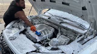 First Wash Engine Detail 2 yrs of Grime  How to Engine Detail Sped up Full Video [upl. by Bartle]