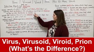 Viroid  Virusoid  Virus  Prion PLUS 10 MORE RELATED VOCAB [upl. by Gerhardine169]