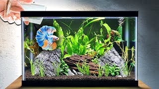 EASY Planted Tank Tutorial for Betta Fish Step by Step [upl. by Ennairam]