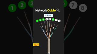 cat5e cat6 cat6e cat7 networkcablewificable camputernetworkcable [upl. by Collins]