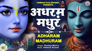 Adharam Madhuram Slow  Krishna Bhajan  Bhakti Song  Bhajan Song  Madhurashtakam Lofi [upl. by Sigismund]