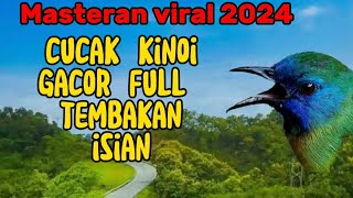 MASTERAN CUCAK KINOI GACOR FULL ISIAN❗MASTERAN VIRAL 2024 [upl. by Grayce345]