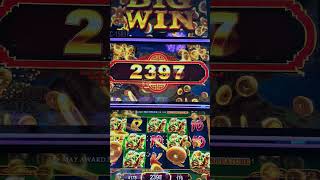 Stuffed Coins gamblinggame casinogame slotmachine jackpot slotmachinemagic casinogames [upl. by Htebazileyram387]