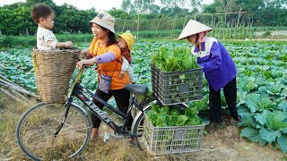 Harvest Green Vegetables Goes to Market Sell  Cooking  Gardening Daily life  Ly Thi Ngoan [upl. by Farah184]