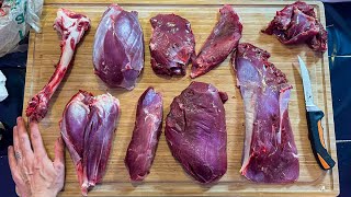 How to Butcher a Deer Hind Quarter  EVERY CUT EXPLAINED [upl. by Abrahamsen]